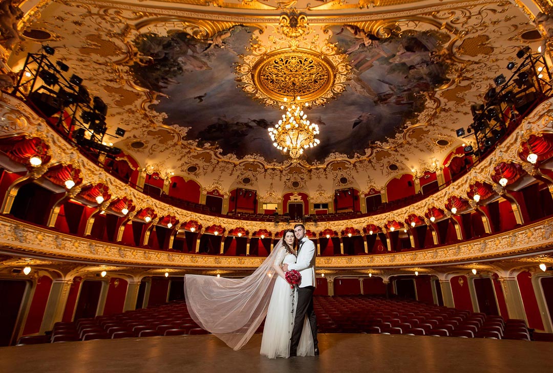 Galerie imagini